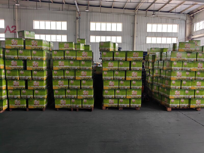 溫州至休寧縣物流公司 溫州至休寧縣物流公司